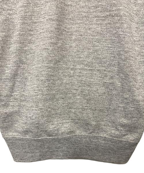 THE NORTH FACE（ザ ノース フェイス）THE NORTH FACE (ザ ノース フェイス) パーカー グレー サイズ:Lの古着・服飾アイテム