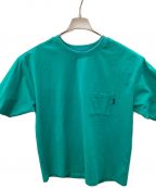 THE NORTH FACEザ ノース フェイス）の古着「半袖カットソー」｜グリーン