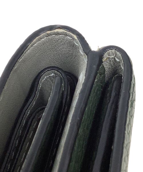 LOEWE（ロエベ）LOEWE (ロエベ) トライフォールドウォレット　LOEWE（ロエベ） ブラウン×グリーンの古着・服飾アイテム