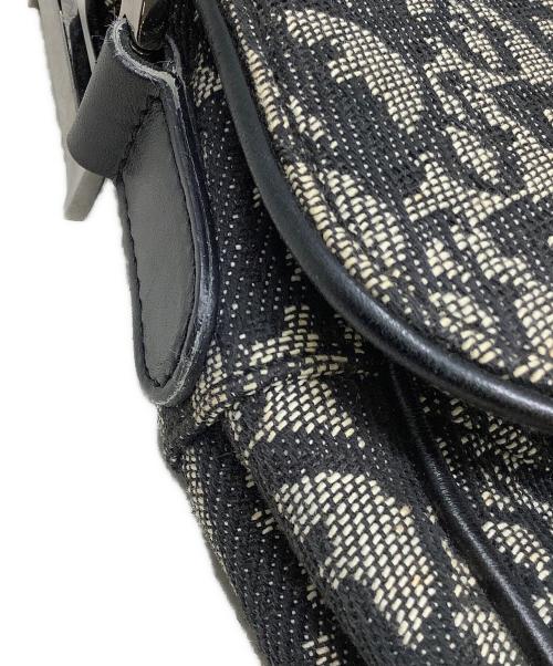 Christian Dior（クリスチャン ディオール）Christian Dior (クリスチャン ディオール) ハンドバッグ　Christian Dior（クリスチャン ディオール） トロッター グレーの古着・服飾アイテム