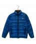 THE NORTH FACE（ザ ノース フェイス）の古着「フラッシュジャケット サミットシリーズ」｜ブルー
