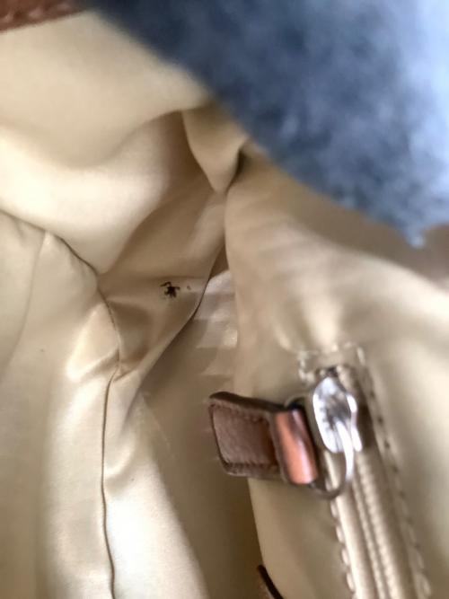 COACH（コーチ）COACH (コーチ) ショルダーバッグ　COACH（コーチ）　	F28725 ブラウンの古着・服飾アイテム