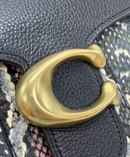 COACH（コーチ）COACH (コーチ) タビー トップ ハンドル イン カラー ブロック スネークスキン ショルダーバッグ ホワイト×ブラックの古着・服飾アイテム