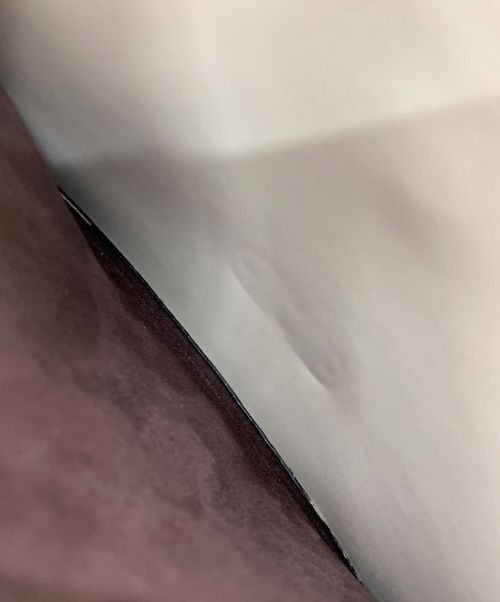 COACH（コーチ）COACH (コーチ) タビー トップ ハンドル イン カラー ブロック スネークスキン ショルダーバッグ ホワイト×ブラックの古着・服飾アイテム