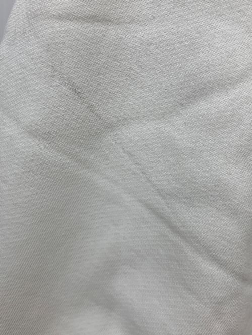 DIESEL（ディーゼル）DIESEL (ディーゼル) F-REGGY E1 HOOD ホワイト サイズ:Mの古着・服飾アイテム