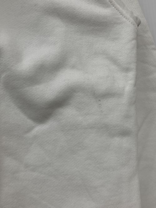 DIESEL（ディーゼル）DIESEL (ディーゼル) F-REGGY E1 HOOD ホワイト サイズ:Mの古着・服飾アイテム