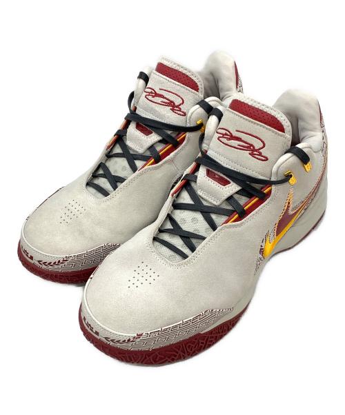 NIKE（ナイキ）NIKE (ナイキ) レブロン NXXT Gen AMPD EP グレー×レッド サイズ:30cmの古着・服飾アイテム