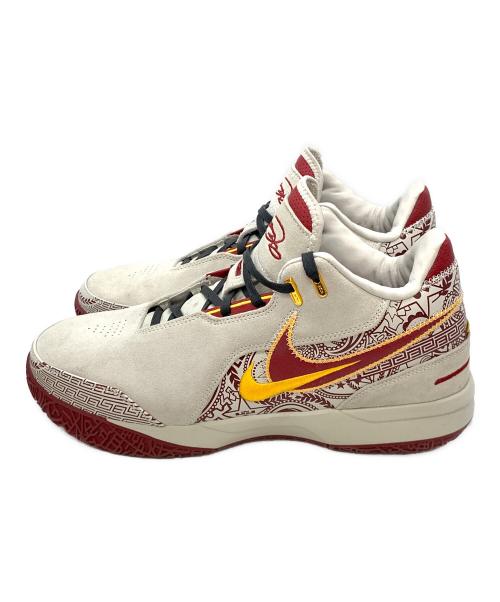 NIKE（ナイキ）NIKE (ナイキ) レブロン NXXT Gen AMPD EP グレー×レッド サイズ:30cmの古着・服飾アイテム