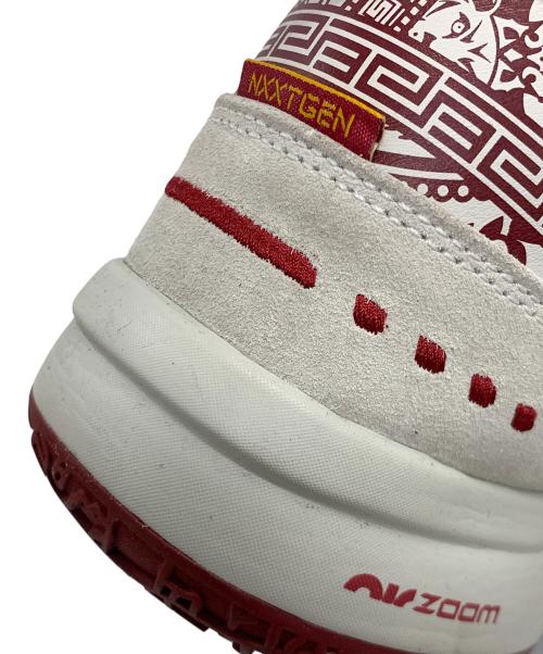 NIKE（ナイキ）NIKE (ナイキ) レブロン NXXT Gen AMPD EP グレー×レッド サイズ:30cmの古着・服飾アイテム