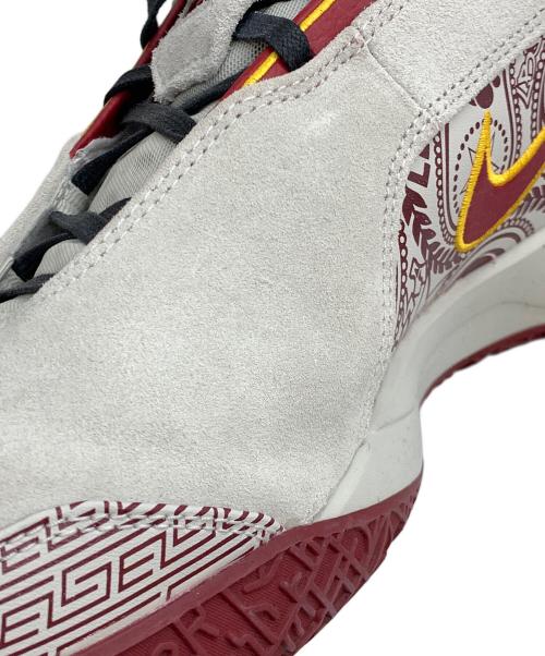 NIKE（ナイキ）NIKE (ナイキ) レブロン NXXT Gen AMPD EP グレー×レッド サイズ:30cmの古着・服飾アイテム