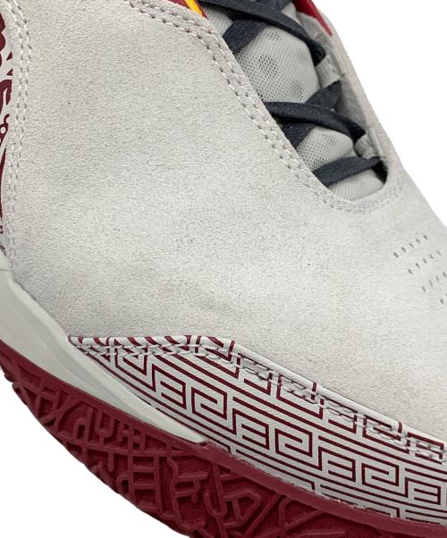 NIKE（ナイキ）NIKE (ナイキ) レブロン NXXT Gen AMPD EP グレー×レッド サイズ:30cmの古着・服飾アイテム