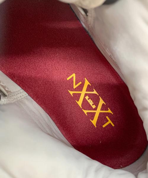 NIKE（ナイキ）NIKE (ナイキ) レブロン NXXT Gen AMPD EP グレー×レッド サイズ:30cmの古着・服飾アイテム