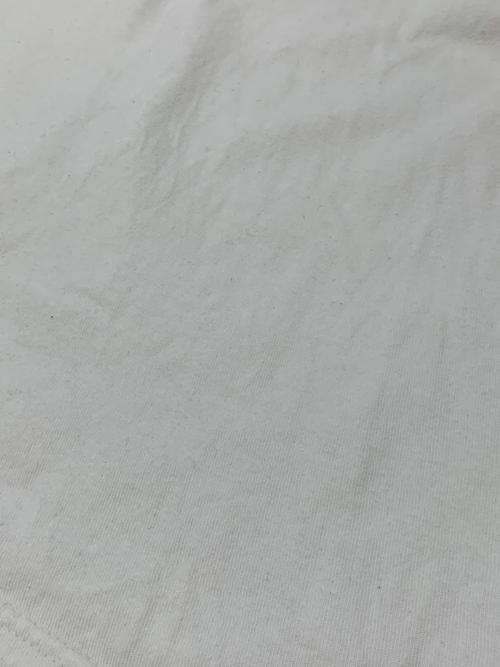 stussy（ステューシー）stussy (ステューシー) 半袖カットソー ホワイト サイズ:XLの古着・服飾アイテム