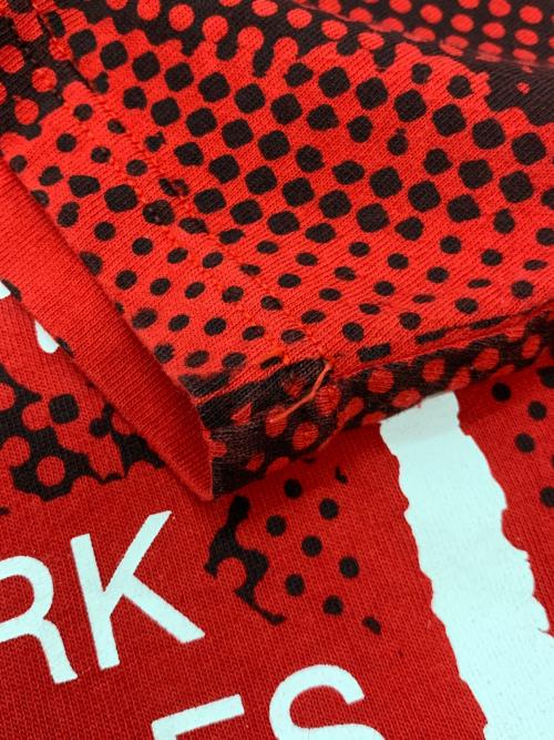 stussy（ステューシー）stussy (ステューシー) グラフィックロゴTシャツ レッド サイズ:Mの古着・服飾アイテム