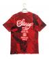 stussy (ステューシー) グラフィックロゴTシャツ レッド サイズ:M：5000円