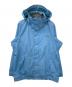 Patagonia（パタゴニア）の古着「マウンテンパーカー」｜スカイブルー