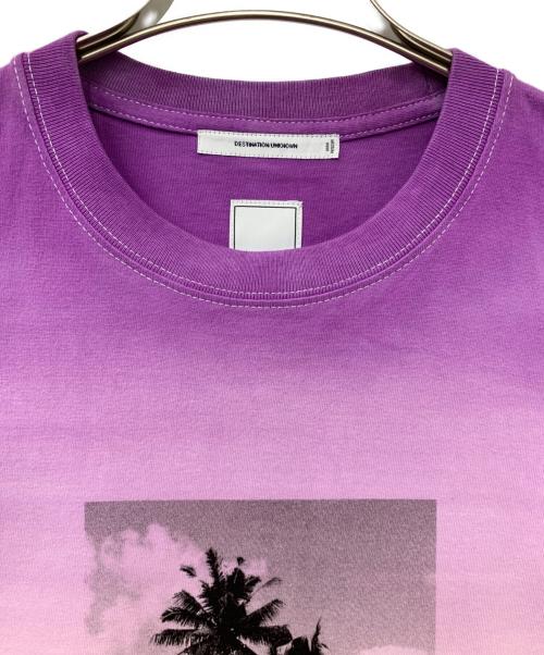 Liberaiders（リベレイダース）Liberaiders (リベレイダース) 半袖カットソー パープル サイズ:Mの古着・服飾アイテム