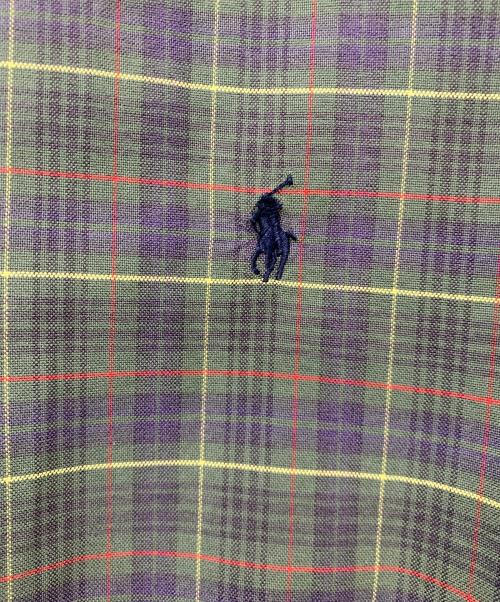 RALPH LAUREN（ラルフローレン）RALPH LAUREN (ラルフローレン) チェックシャツ グレー サイズ:Lの古着・服飾アイテム