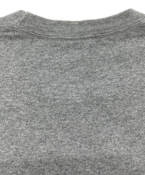 THE NORTH FACE（ザ ノース フェイス）THE NORTH FACE (ザ ノース フェイス) L/Sヌプシコットンティー グレー サイズ:Mの古着・服飾アイテム