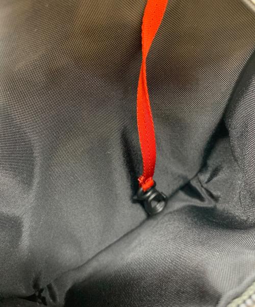 ARC'TERYX（アークテリクス）ARC'TERYX (アークテリクス) Arro Waistpack グレーの古着・服飾アイテム