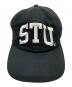 stussy (ステューシー) STU ARCH STRAPBACK CAP：7000円