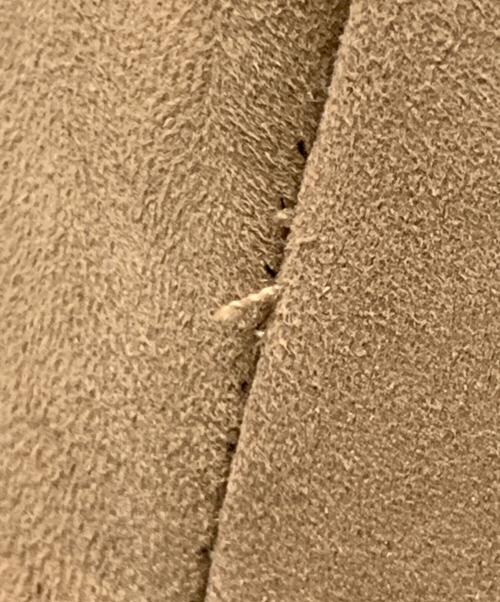 Loungedress（ラウンジドレス）Loungedress (ラウンジドレス) ファーコート ブラウン サイズ:FREEの古着・服飾アイテム