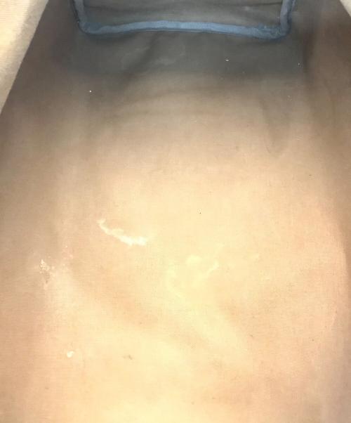 LOUIS VUITTON（ルイ ヴィトン）LOUIS VUITTON (ルイ ヴィトン)  ボストンバッグ スピーディ40 モノグラム ブラウンの古着・服飾アイテム