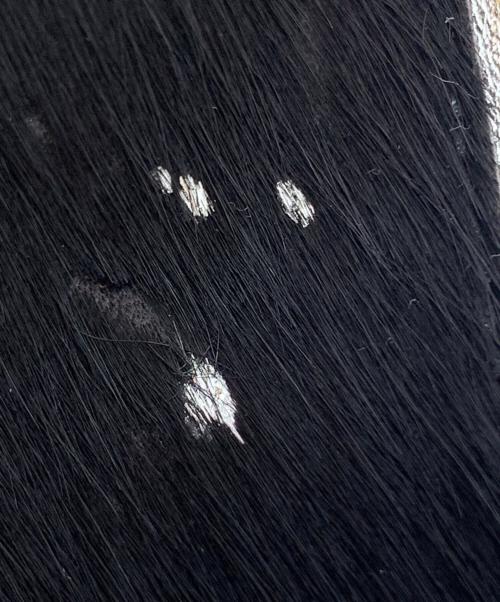 Think Bee!（シンクビー!）Think Bee! (シンクビー!) ショルダーバッグ ブラックの古着・服飾アイテム