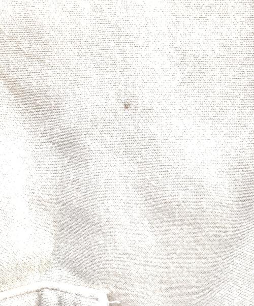 stussy（ステューシー）stussy (ステューシー) フードパーカー アイボリー サイズ:Lの古着・服飾アイテム