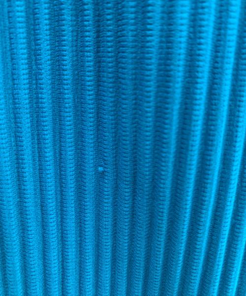 HOMME PLISSE ISSEY MIYAKE（オム プリッセ イッセイ ミヤケ）HOMME PLISSE ISSEY MIYAKE (オム プリッセ イッセイ ミヤケ) プリーツパンツ ブルー サイズ:Ｓの古着・服飾アイテム