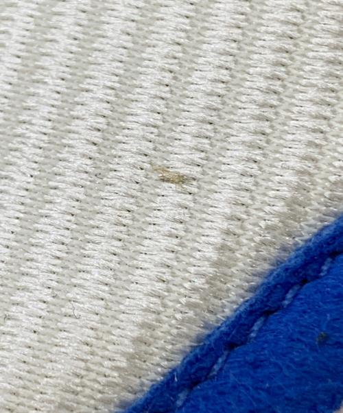 adidas（アディダス）adidas (アディダス) LEGO (レゴ) ローカットスニーカー マルチカラー サイズ:27.5cmの古着・服飾アイテム