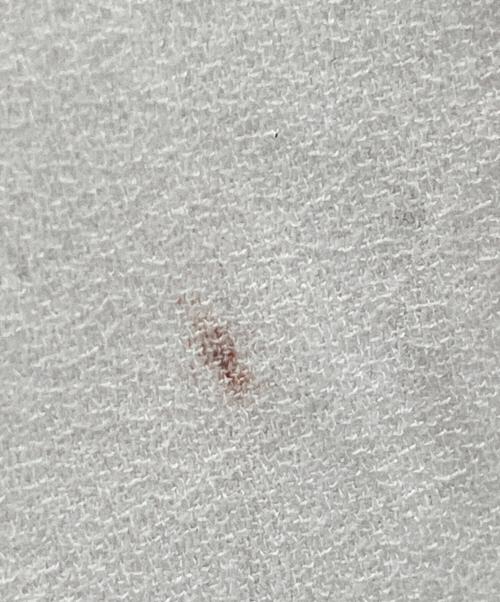 BEARDSLEY（ビアズリー）BEARDSLEY (ビアズリー) 長袖ブラウス アイボリー サイズ:FREE 未使用品の古着・服飾アイテム