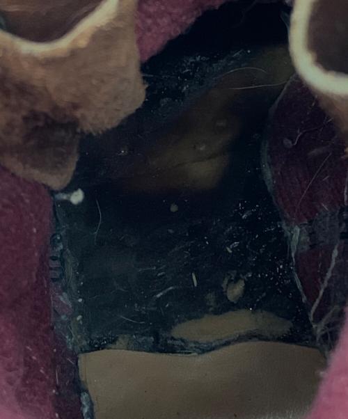 RED WING（レッドウィング）RED WING (レッドウィング) RED WING(レッドウィング)ANSIZ41PT91 ブラウン サイズ:27cmの古着・服飾アイテム