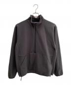 GOLDWINゴールドウイン）の古着「GOLDWIN(ゴールドウイン)ポーラテックパワーストレッチハーフジッププルオーバー」｜グレー