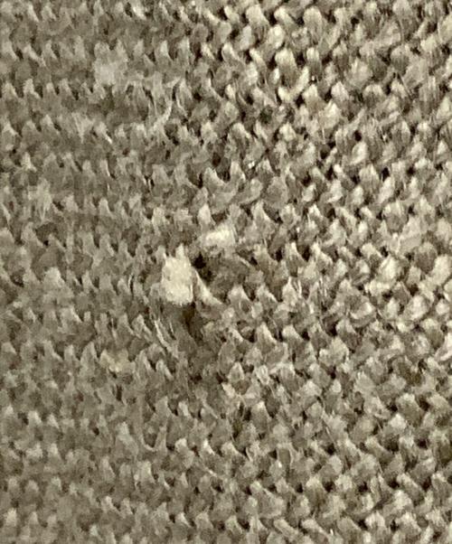 SACRA（サクラ）SACRA (サクラ) SACRA(サクラ)リネンバイアスロングスカート ベージュ サイズ:36の古着・服飾アイテム