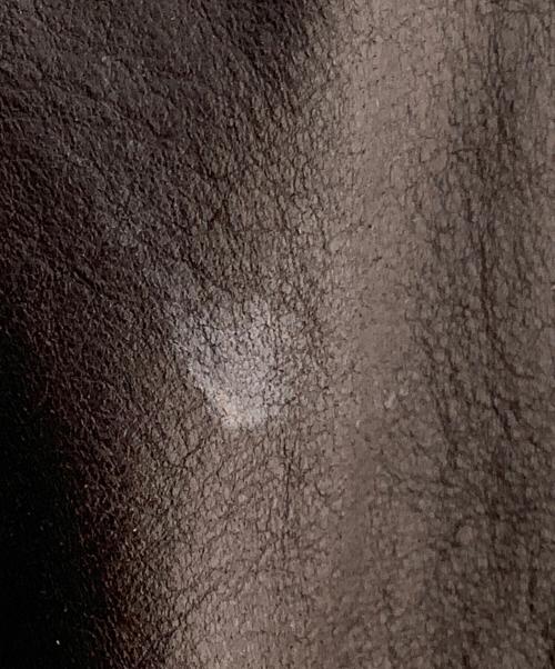 MEMBERS ONLY（メンバーズオンリー）MEMBERS ONLY (メンバーズオンリー) レザージャケット ブラウン サイズ:ｌの古着・服飾アイテム