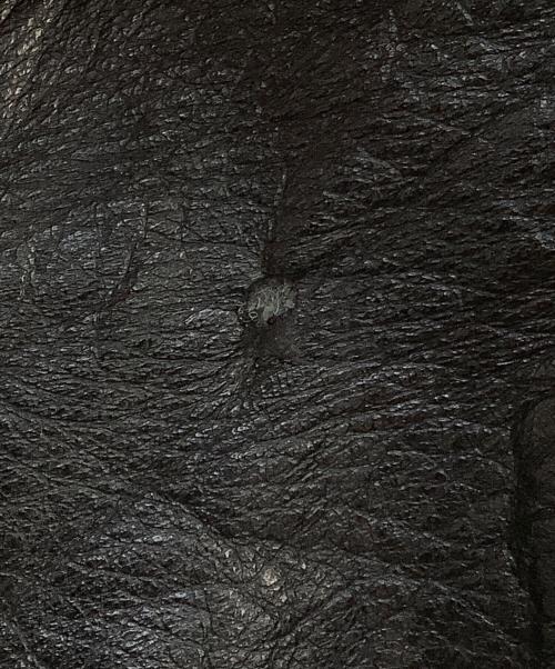 MEMBERS ONLY（メンバーズオンリー）MEMBERS ONLY (メンバーズオンリー) デニムジャケット ブラック サイズ:XLの古着・服飾アイテム