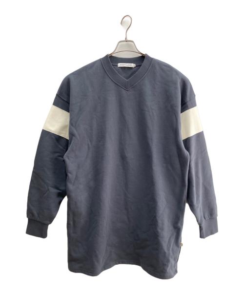 ARAMINTA JAMES（アラミンタ ジェームズ）ARAMINTA JAMES (アラミンタ ジェームズ) Vネックスウェット グレー サイズ:Ｓの古着・服飾アイテム