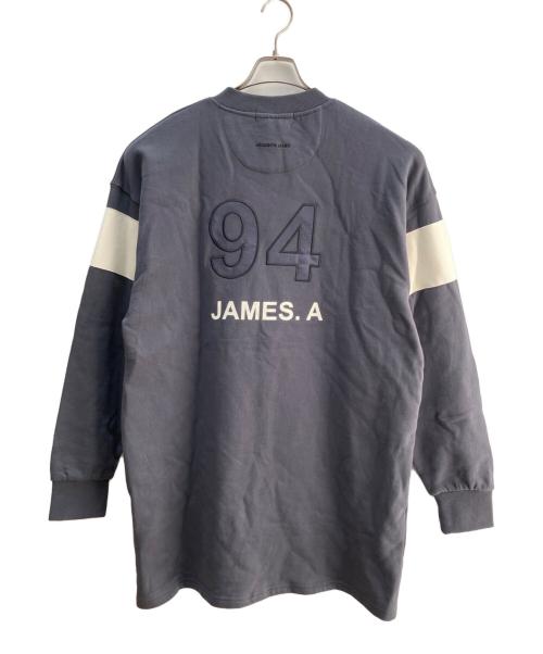 ARAMINTA JAMES（アラミンタ ジェームズ）ARAMINTA JAMES (アラミンタ ジェームズ) Vネックスウェット グレー サイズ:Ｓの古着・服飾アイテム