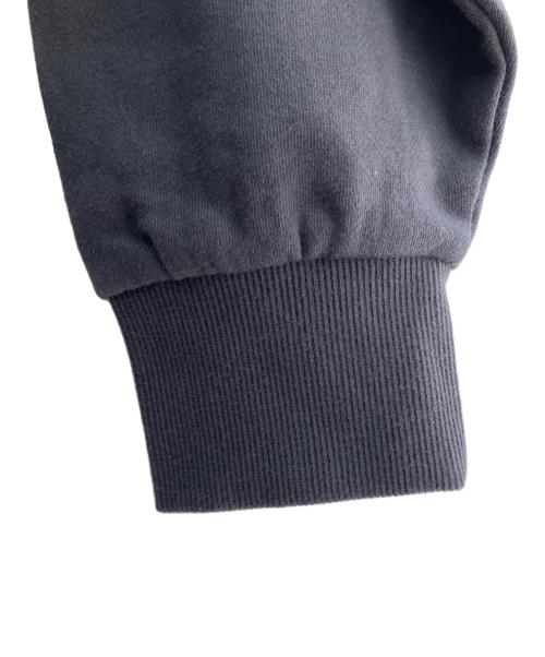 ARAMINTA JAMES（アラミンタ ジェームズ）ARAMINTA JAMES (アラミンタ ジェームズ) Vネックスウェット グレー サイズ:Ｓの古着・服飾アイテム