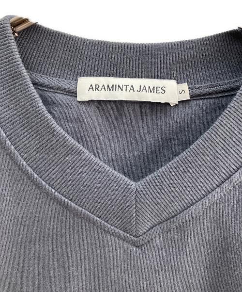 ARAMINTA JAMES（アラミンタ ジェームズ）ARAMINTA JAMES (アラミンタ ジェームズ) Vネックスウェット グレー サイズ:Ｓの古着・服飾アイテム