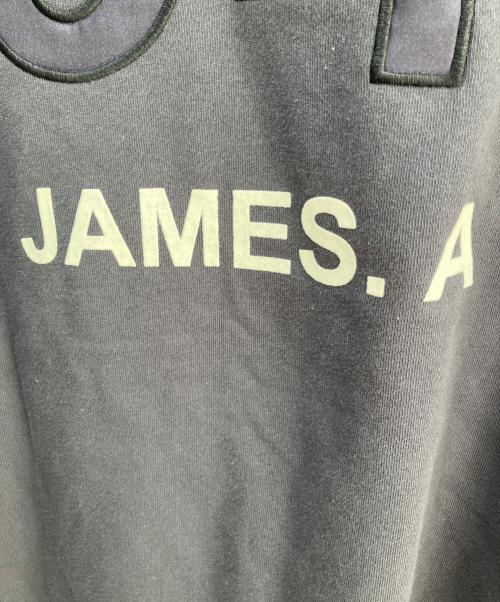 ARAMINTA JAMES（アラミンタ ジェームズ）ARAMINTA JAMES (アラミンタ ジェームズ) Vネックスウェット グレー サイズ:Ｓの古着・服飾アイテム