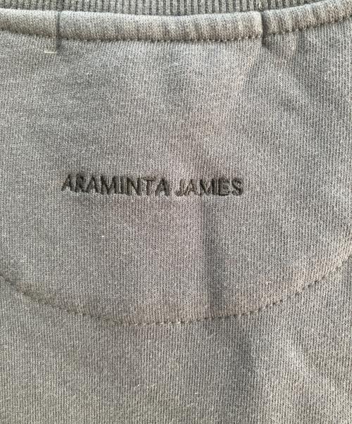 ARAMINTA JAMES（アラミンタ ジェームズ）ARAMINTA JAMES (アラミンタ ジェームズ) Vネックスウェット グレー サイズ:Ｓの古着・服飾アイテム