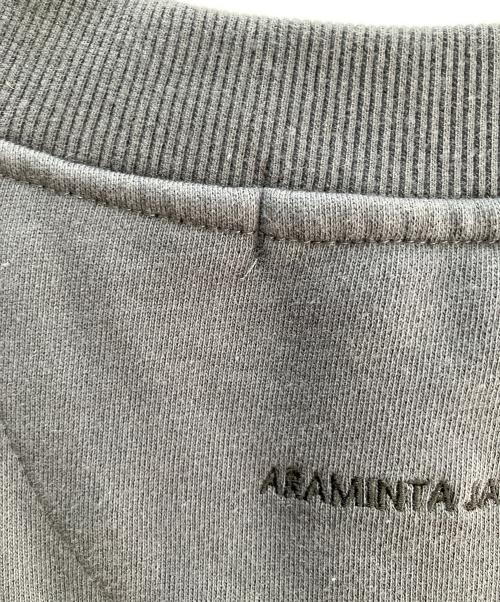 ARAMINTA JAMES（アラミンタ ジェームズ）ARAMINTA JAMES (アラミンタ ジェームズ) Vネックスウェット グレー サイズ:Ｓの古着・服飾アイテム
