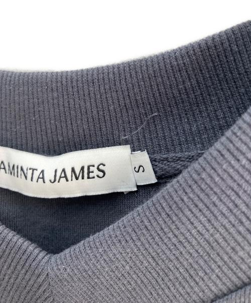 ARAMINTA JAMES（アラミンタ ジェームズ）ARAMINTA JAMES (アラミンタ ジェームズ) Vネックスウェット グレー サイズ:Ｓの古着・服飾アイテム