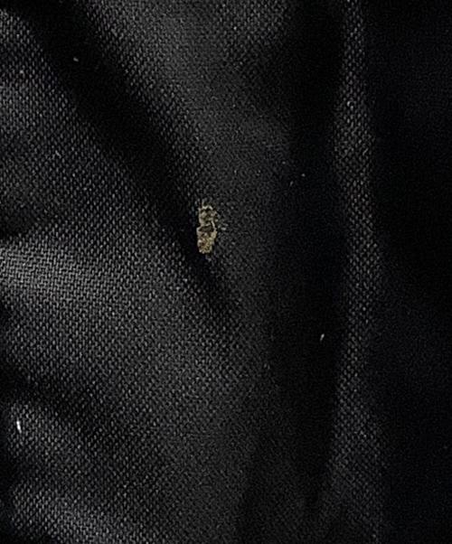 POLO RALPH LAUREN（ポロ・ラルフローレン）POLO RALPH LAUREN (ポロ・ラルフローレン) 中綿ジャケット ブラック サイズ:XSの古着・服飾アイテム