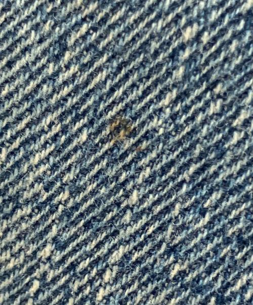 J.CREW（ジェイクルー）J.CREW (ジェイクルー) セルビッチデニムパンツ インディゴ サイズ: 78.5cm (W31)の古着・服飾アイテム