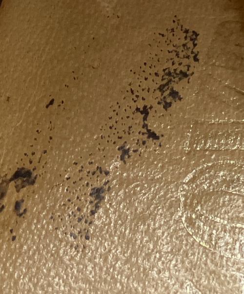 WALK-OVER（ウォークオーバー）WALK-OVER (ウォークオーバー) WALK-OVER(ウォークオーバー)Dirty Buck Suede ベージュ サイズ:Ｍの古着・服飾アイテム