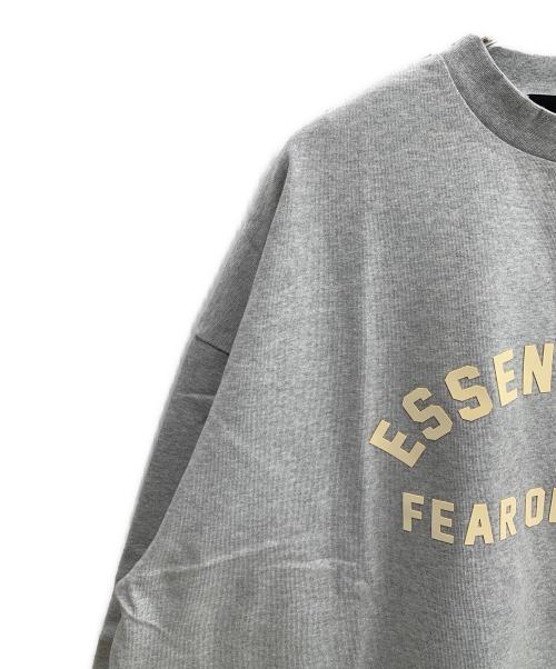 FOG ESSENTIALS（フィアオブゴッド エッセンシャル）FOG ESSENTIALS (フィアオブゴッド エッセンシャル) 長袖カットソー グレー サイズ:L 未使用品の古着・服飾アイテム