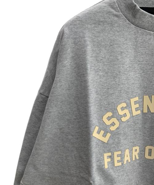 FOG ESSENTIALS（フィアオブゴッド エッセンシャル）FOG ESSENTIALS (フィアオブゴッド エッセンシャル) 長袖カットソー グレー サイズ:Ｍ 未使用品の古着・服飾アイテム